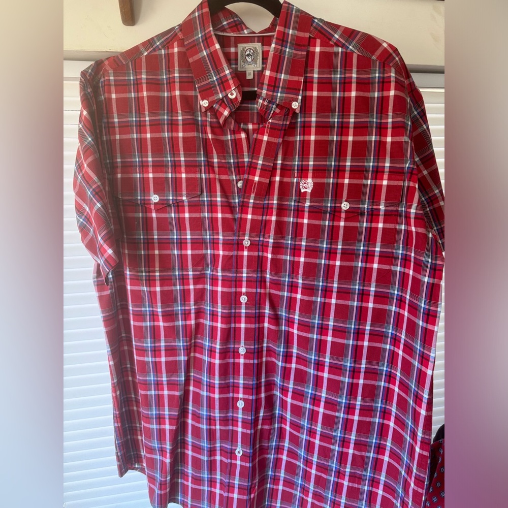 Cinch Button Down - image 1